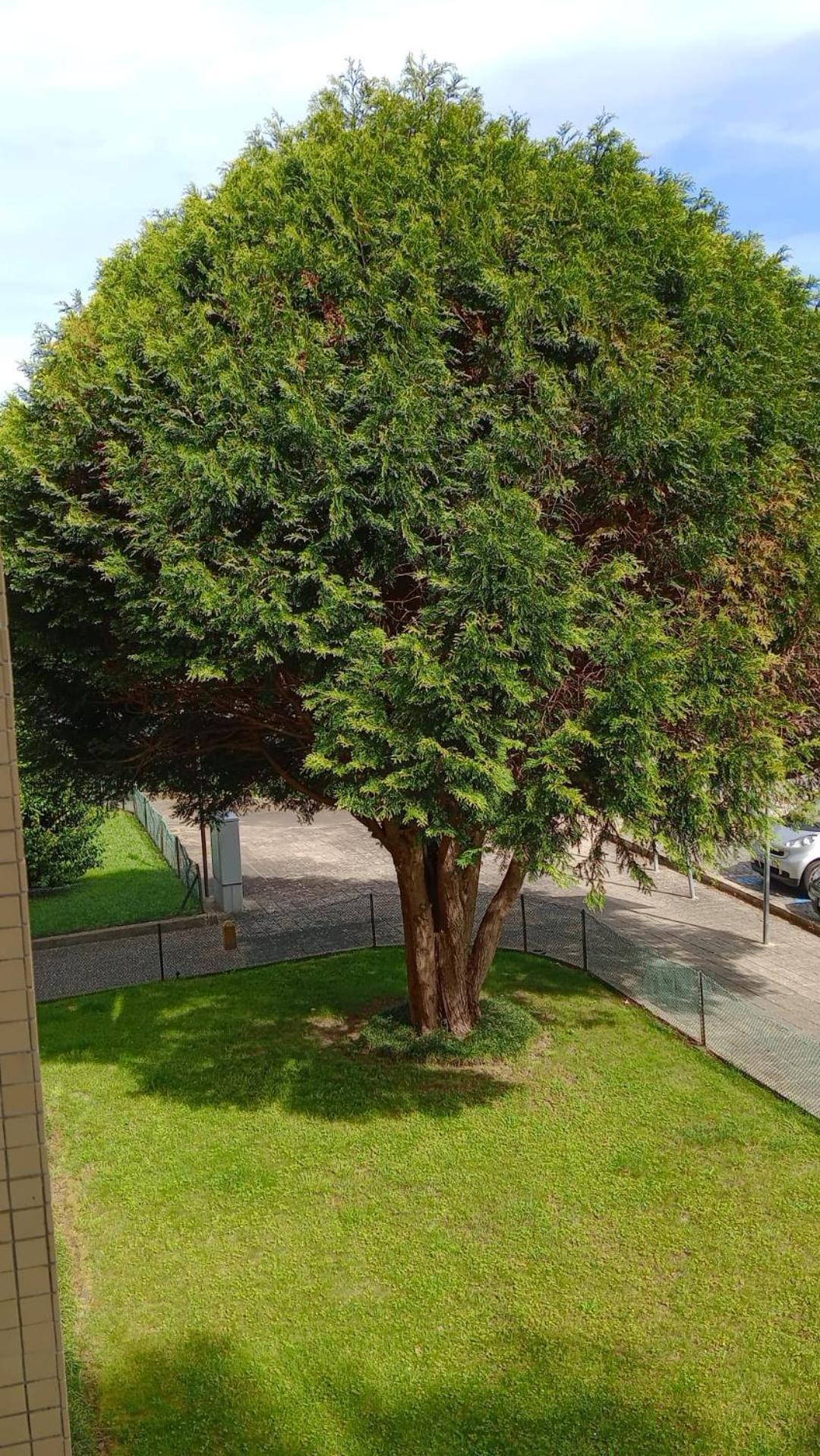 Apartamento Praceta OOporto Exterior foto